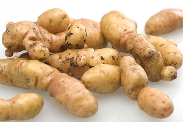 Bamberger H&ouml;rnla