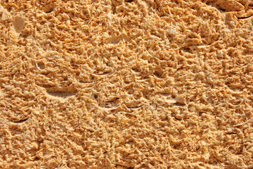 Shell rock brown texture