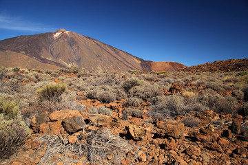 Tenerife, Canary Islands, Spain - volcano Teide National Park. M