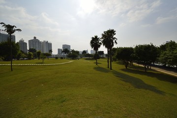 The scenery of Nanhu Park