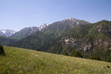 Fototapeta na wymiar beautiful nature. Mountains in Kazakhstan