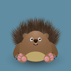 Cute baby hedgehog