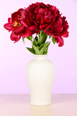 Beautiful peonies in vase on table on white background