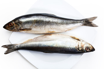 Fototapeta premium salted herring