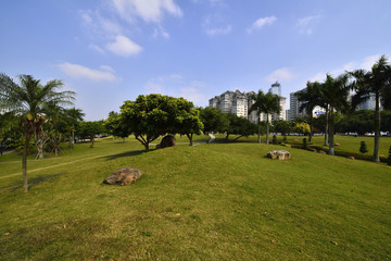 The park scenery under the blue sky and white clouds
