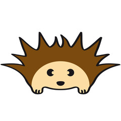 Cute Little Hedgehog Baby