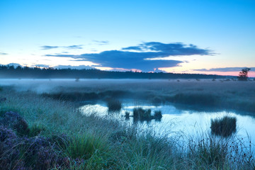 misty morning over swamp