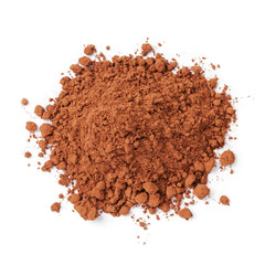 heap of fresh cacao powder