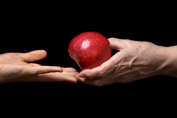 female hands giving apple