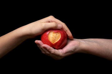 female hands giving apple