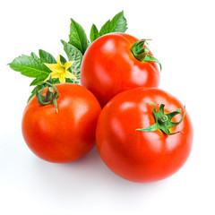 Tomatoes isolated on white background