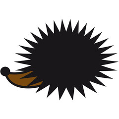 Cool Hedgehog