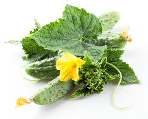 Cucumbers with leaves and flowers