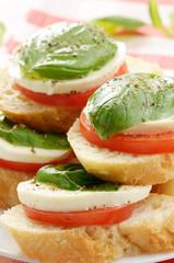 Caprese sandwiches with mozzarella