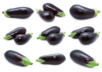 Aubergine