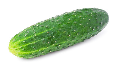 Fresh cucumber