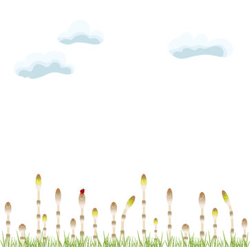 土筆と空