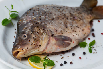 Carp