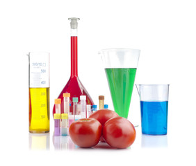 Genetically modified organism - tomatoes and glassware