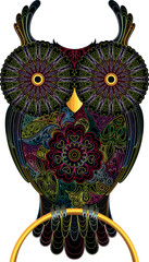 Owl, color contour