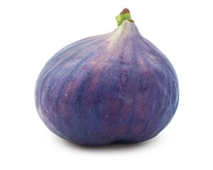 Fig