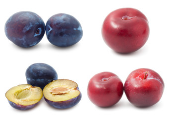 Plum