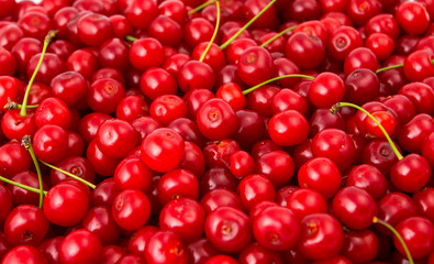 red cherry background