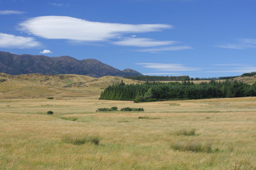 Fototapeta na wymiar Nowa Zelandia