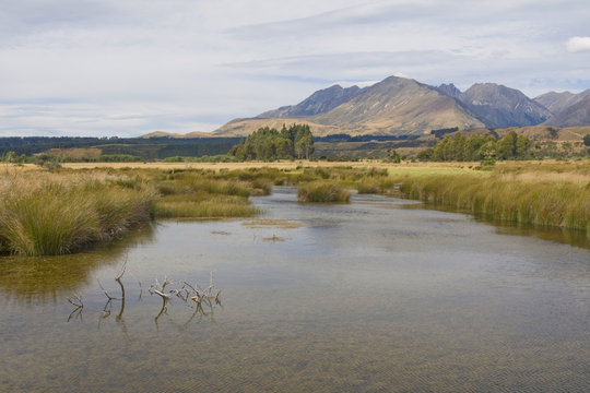 New Zeland - Landscape