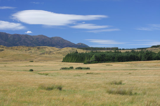 Aotearoa