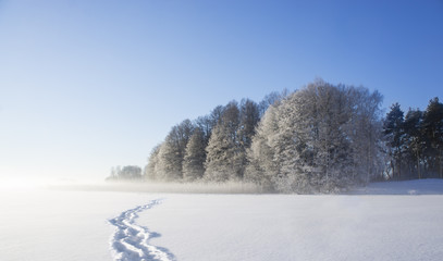 Frozen lake with shoe prints