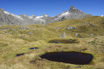 Milford track - Mackinnon pass © Rochu_2008