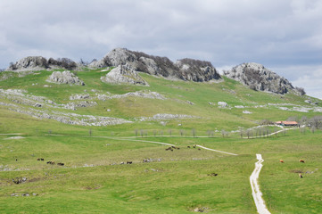 Fototapeta premium Campas de Urbía, País Vasco (España)