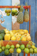 Brazilian Farmers Market Tropical Fruits