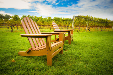 Adirondack style chair on lawn of vineyard