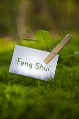 Feng Shui