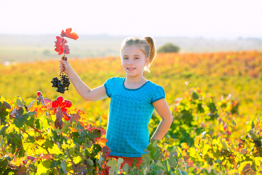 Kid girl in autumn vineyard field holding red grapes bunch