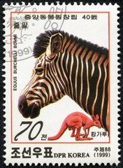 stamp printed in DPR Korea shows zebra