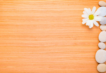 flower chamomile and pebbles  frame on wooden  background
