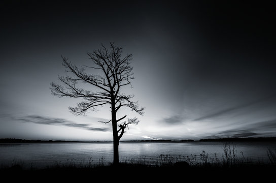~ ante meridiem ~
