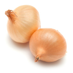 Fototapeta premium mini onions isolated on white