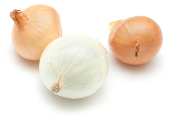 mini onions isolated on white