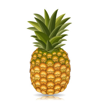pineapple isolated