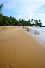 The beach in Hikkaduwa, Sri Lanka