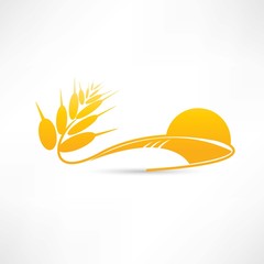 wheat icon