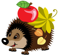 cartoon hedgehog © insima