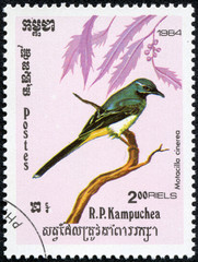 stamp printed by Cambodia, shows bird
