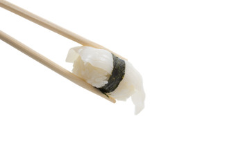 squid sushi nigiri isolated on white background