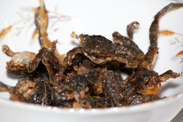 fried frog