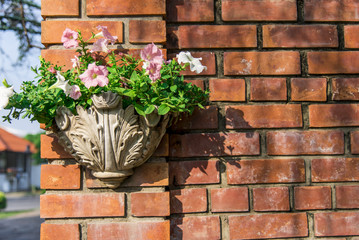 Fototapeta na wymiar Flower in vase which on the wall3